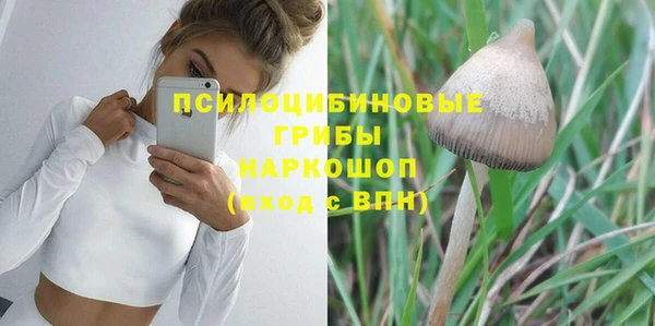 2c-b Михайлов