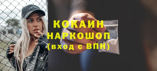 стаф Бикин