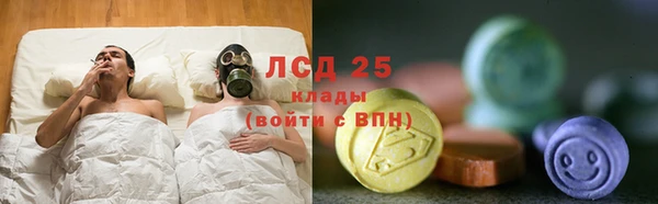 ПСИЛОЦИБИНОВЫЕ ГРИБЫ Михайловск