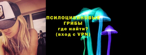 ПСИЛОЦИБИНОВЫЕ ГРИБЫ Михайловск