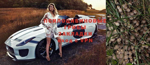ПСИЛОЦИБИНОВЫЕ ГРИБЫ Михайловск