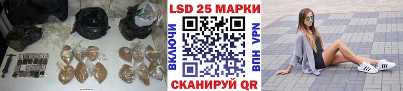 как найти закладки Снежинск blacksprut рабочий сайт LSD-25 экстази ecstasy