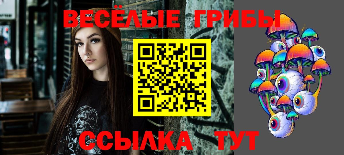 Галлюциногенные грибы GOLDEN TEACHER Снежинск