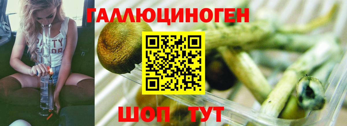 Снежинск  где купить наркотик  Вход с VPN  Псилоцибиновые грибы Cubensis 